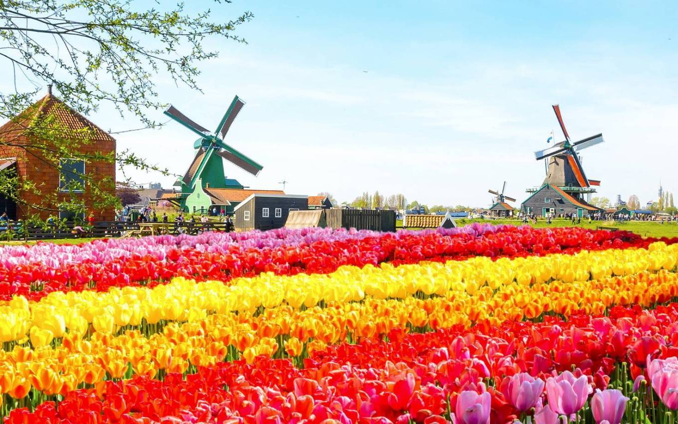 amsterdam-3