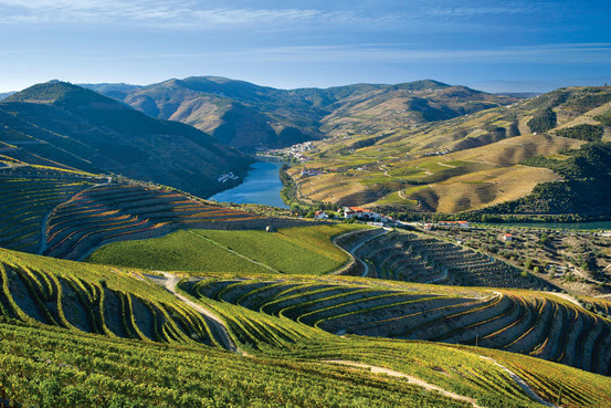 douro-port-wine-tour-8