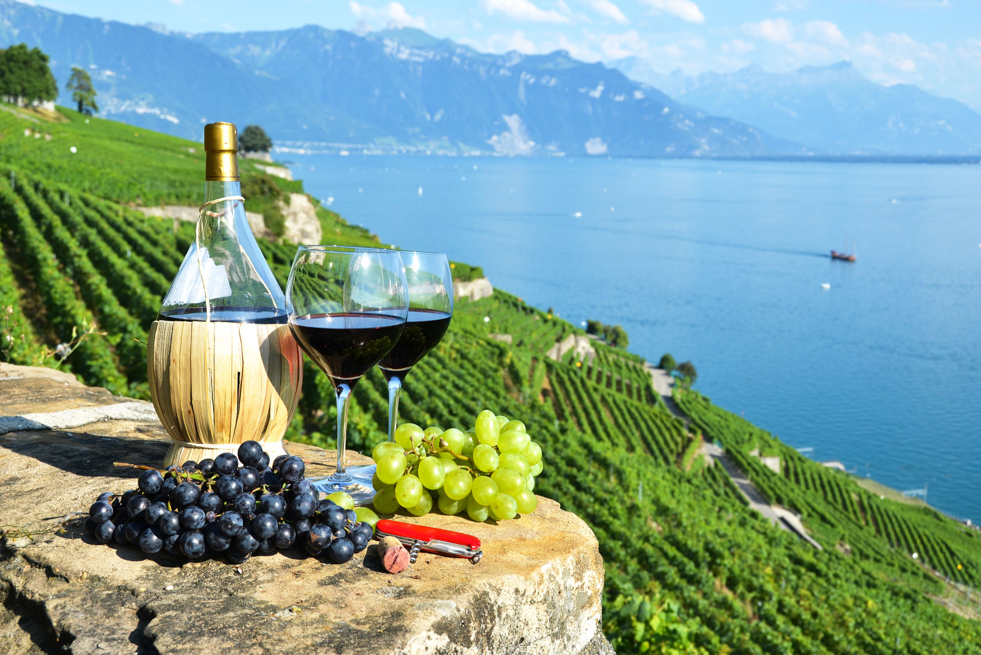 lavaux-vineyards-2