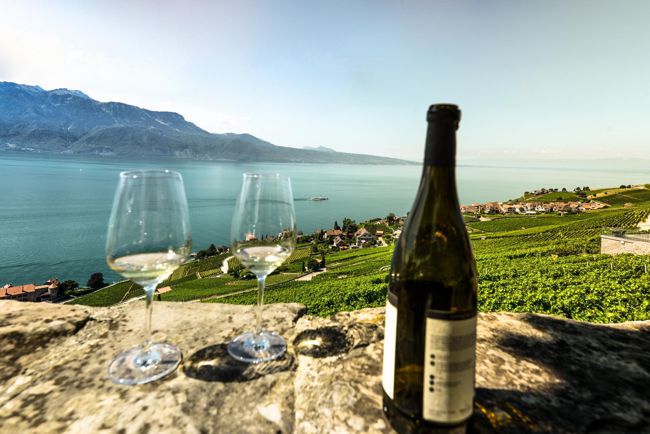 lavaux-vineyards-3