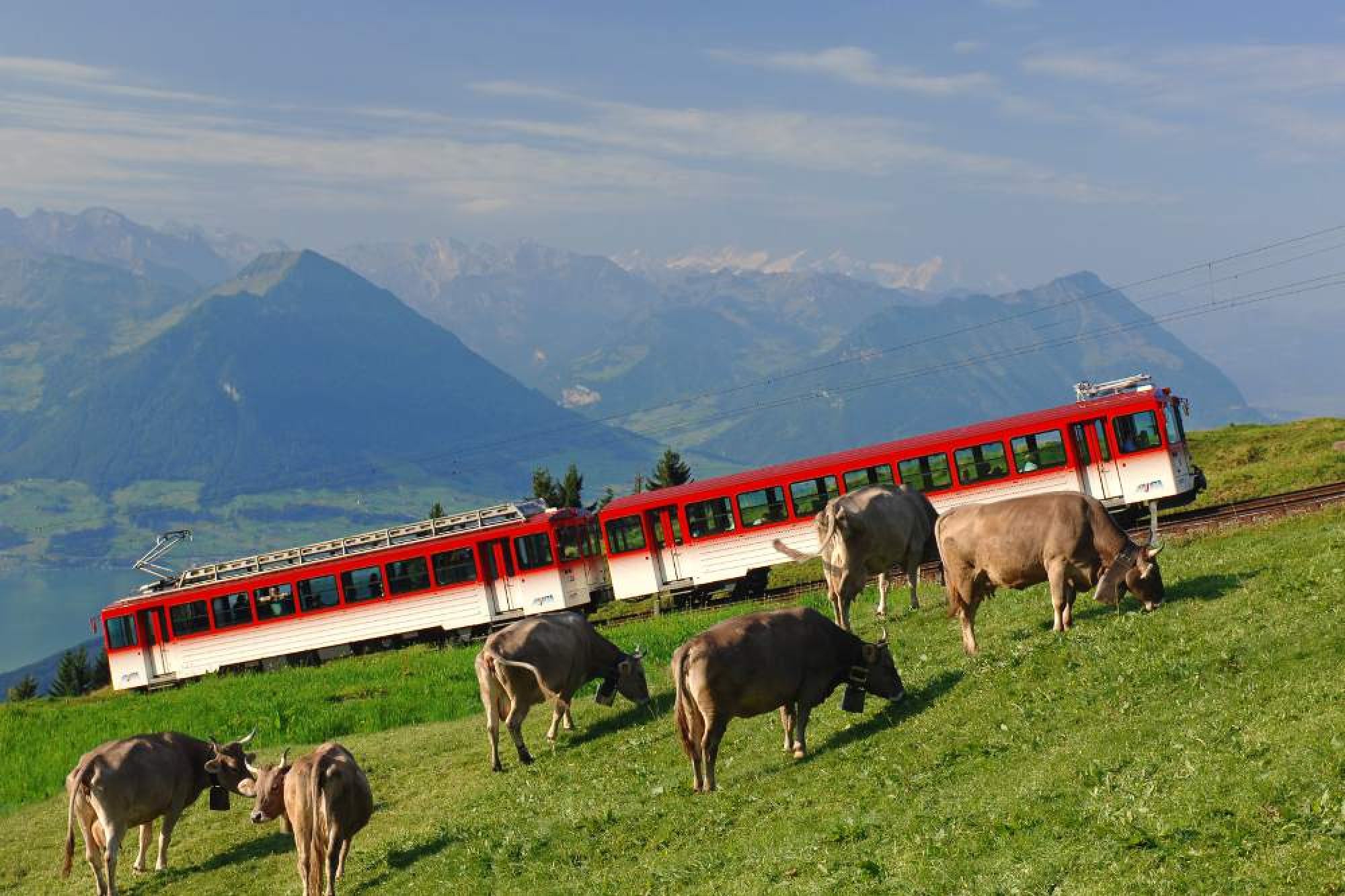 mt-rigi-11